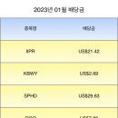 도도파파