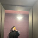 카레시 이미지