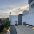 종달차경(메리골드) 이미지