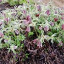 도양농장 이미지