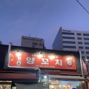 [안성] 안성 양꼬치 구워주는 가성비 양꼬치 솔직후기 _ 소한양꼬치