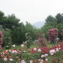H9376 이미지