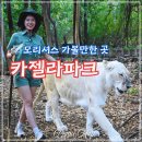 명성카 | 신나게 놀고 온 모리셔스 카젤라파크 솔직 후기 및 꿀팁 공개