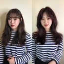 애리헤어컷