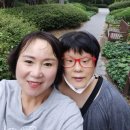 해숙농장 Daum카페