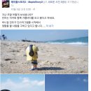 미카벨라 이미지