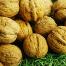 진들농장 이미지