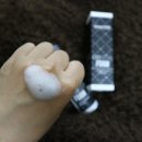 산뜻하개 이미지