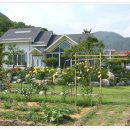 전원향기 이미지