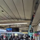 빵의 향현 | [롯데월드몰] 두쫀쿠들의 향현, 그리고 아쿠아리움 줄 대박