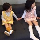 아이엠콩