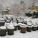 탑골농원 이미지