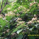 얼음골생태길 이미지