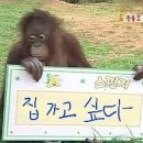 친구노래클럽 이미지
