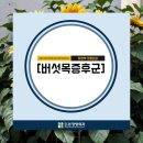 마포합정본정형외과의원 이미지