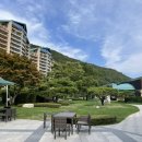 더엠브로시아 이미지