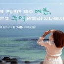 월평로L 트레벌데일리