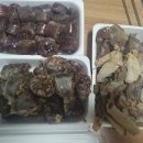 동네맛차 이미지