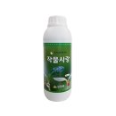 청인주 이미지