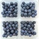 🫐아이브릭스-칠레 생 블루베리🫐 이미지