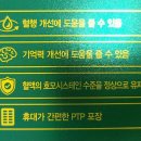 바소 이미지