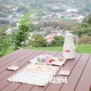녹차농원 | 하동 여행 가볼만한곳 다원 소풍 혜림농원 티크닉 체험 후기