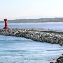 7년만의외출 이미지