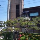 푸른지대떡갈비 이미지