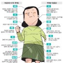 보찾사 Daum카페