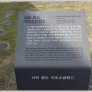 신안소금