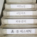 로하네일 - 군산시 공항로 79 | 로하네일
