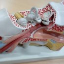 귀에조은보청기 이미지