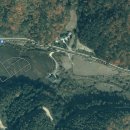 자작나무 펜션2 이미지