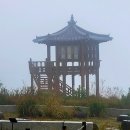 RR-69[배내로]-하-141 | BAC 100 제70좌. 대구 군위 [팔공산] 비로봉 1,193미터 최단 코스 하늘정원에서 원점회귀 후기