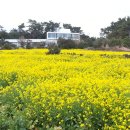 바닷가하얀집 이미지