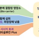 노약사네 이미지