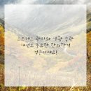 슬기롭게 건강하게 이미지