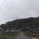 2018.5.6일(일) 충남 부여군 부여읍 치석리 창강서원과 나무 이미지