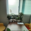 자기감정연구소 이미지