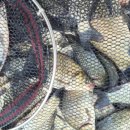 이천낚시터 이미지