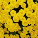 인생여행 이미지