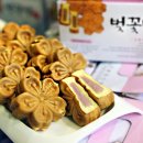 구 진해해군통제부 병원장 사택 이미지