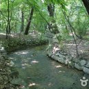 상림관광안내소 이미지