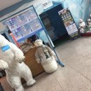 수목원테마파크 이미지