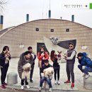 놀다가시개 | 《대전애견모임:놀다가시개:170301보문산행후기》