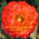 호인에너지 이미지
