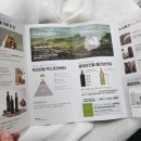 호텔 오로이 | 브루아오로 올레오칸탈 엑스트라버진 올리브유, 진짜 공복 올리브오일 추천