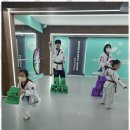 다온 태권도 이미지