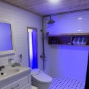 스테이단감 이미지