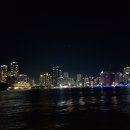야경투어 | 부산의 밤을 밝히는 해운대 미포 유람선 야경투어 후기 🚢✨